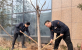 【尊龙集团官网使命】济南尊龙集团官网投资控股集团： 弘扬自愿服务，齐建绿色城市   